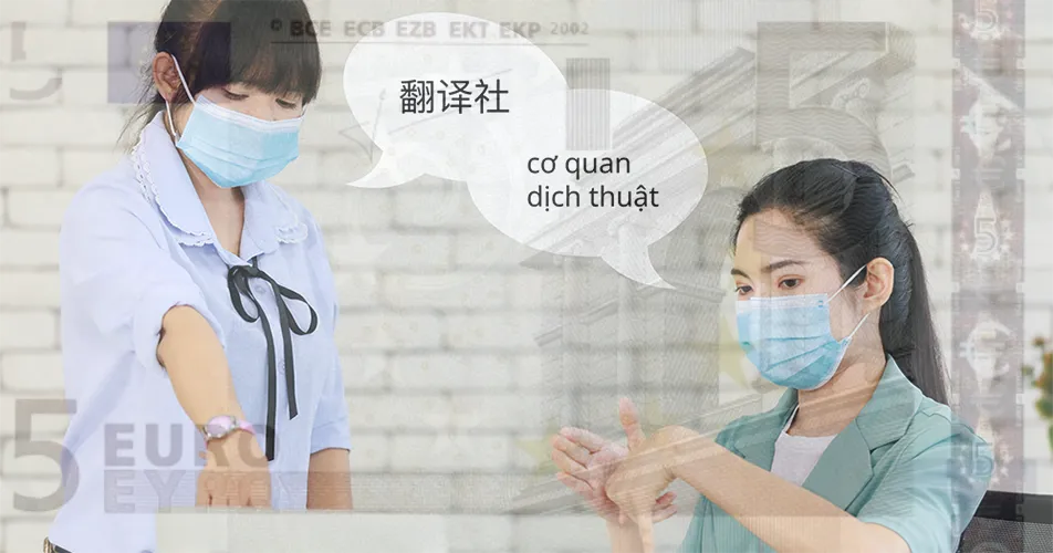 How Much Does Translation Really Cost? Argo Translation